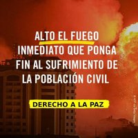 olga_navarro (@onavacas) 's Twitter Profile Photo
