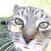 Wendy (@wendywriter13) Twitter profile photo Wendy (@wendywriter13) Twitter profile photo