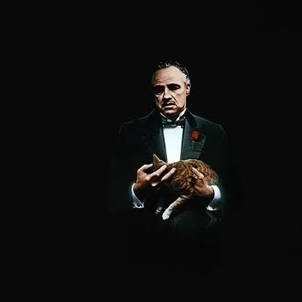 godfather166348's profile picture. 