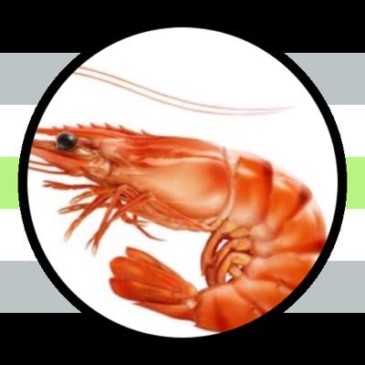 I’m a shrimp and I like shrimp things like shrimp, photography and poetry they/them/it name: Sage alt:@shrimpspics priv:@shrimpventpic