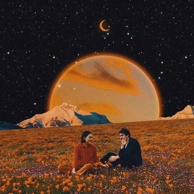 softanalog1's profile picture. 