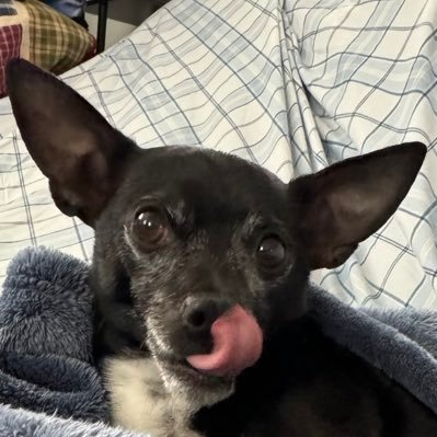 BigMarf30's profile picture. 