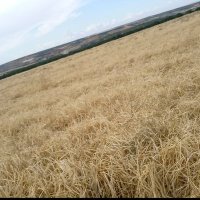 ysfklc (@neclaklc2) 's Twitter Profile