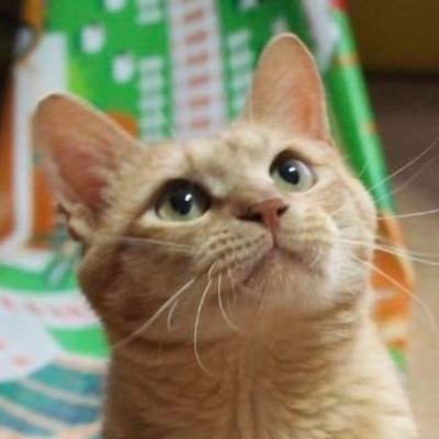 mei1971's profile picture. ただの検索好きです。
