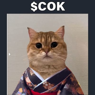 mechi_mainn's profile picture. 