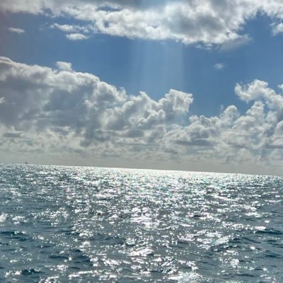 I don’t DM people ! YES I’m a real person! I live in shitty Illinois I got kicked off Twitter way back when. NO DM’s🇺🇸 DM=Block. XRP is going to rock!
