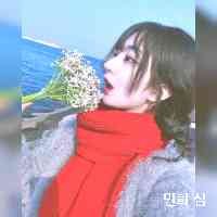 민희 심 (@mi_nhheemims) 's Twitter Profile