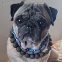 Ricardo_Alic (@richard80alic) 's Twitter Profile