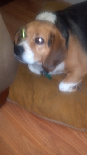 doublemim's profile picture. Wife of Tommy.Mother of Scott, Marty,Andy. Huge sports fan.racing,nfl,high school volleyball, go-cart racing, 4-wheeling,softball.