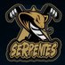 Serpentes (@serpentesnhl) Twitter profile photo Serpentes (@serpentesnhl) Twitter profile photo