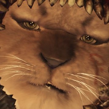 NAZEDOGMA3634's profile picture. 撮る者です。うちの子＆よその子をひたすらアップします。スクショはエンドコンテンツ。引くほど撮るけど許してほしい。 【Steamフレンドコード: 1166962368】【ポーンID(Main): NI5FQ2625T48】【ポーンID(Sub): LM77G8O0SV7T】