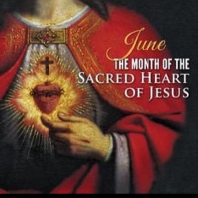 DianaDa00700905's profile picture. Ave Maria                                      #DeSantis2024