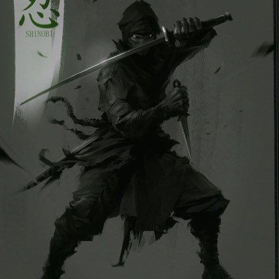 ninjaaloe1's profile picture. L’art du silence 🥷