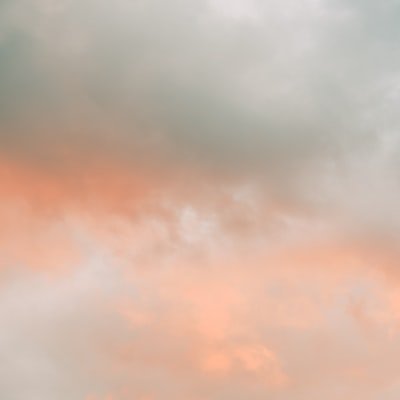 MezianiBou60412's profile picture. 