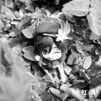 生活是尽情享受的机会。