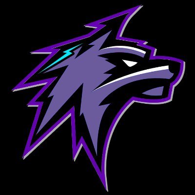 stormwalt's profile picture. 