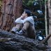 haris (@xpolarrr) Twitter profile photo haris (@xpolarrr) Twitter profile photo
