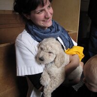 Allison M. Hydzik (@allisonhydzik) 's Twitter Profile