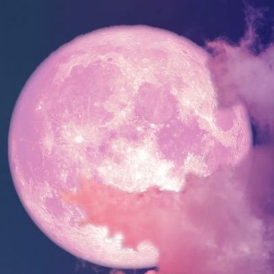 ゆりかさんのプロフィール画像