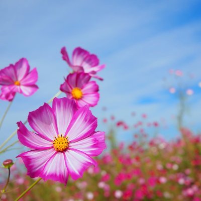 uetiyann's profile picture. 