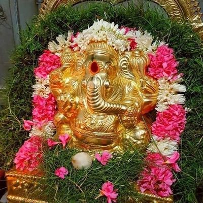 evered7's profile picture. Hindu.
Ardent Manchester United and Ferrari Fan!