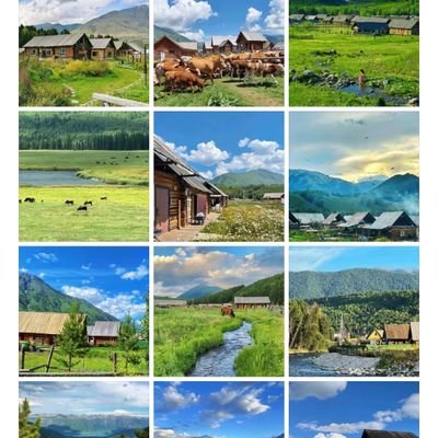 timegis20261679's profile picture. 