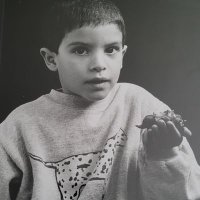 BFG (@0celoti) 's Twitter Profile