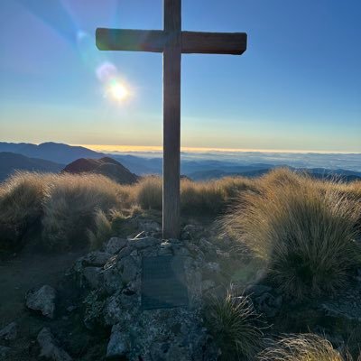 W1986T's profile picture. 