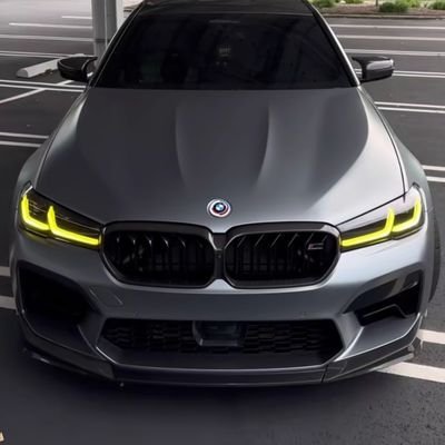 Sam33119629977's profile picture. Join the fun!  @thedrunkrobots @BullsApesProj @Rough_Ryders