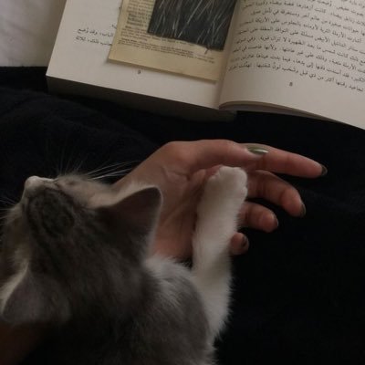 9rrere's profile picture. مجموعة انسان