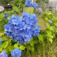 Dolf (@dolf57614197) 's Twitter Profile