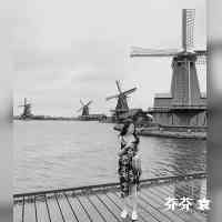 生活是追求内心的宁静。