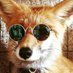 Kiwi :) (@kiwez_) Twitter profile photo Kiwi :) (@kiwez_) Twitter profile photo