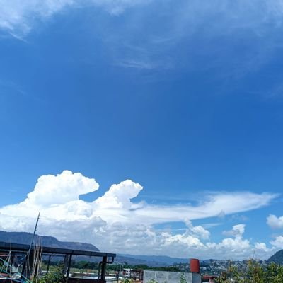 Daniel1090198's profile picture. 