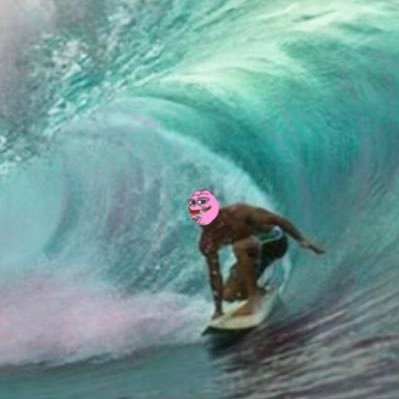 Surfer in Hawaii BULLISH on crypto $WOLF $ANDY 🐸🍴🐷 $PORK $PNDC $wPOND 💜🚀 $PEPE $SOL $ETH #PONDCOIN https:// https://t.co/Nv0T14Wi43