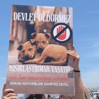 sny19 (@senayugust) 's Twitter Profile