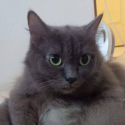 TomaHawkInterne's profile picture. Startup ISP TomaHawk Fibre Internet in Thailand 
โครงการ Startup โทมาฮอว์ก ไฟเบอร์ อินเทอร์เน็ตในราชอาณาจักรไทย