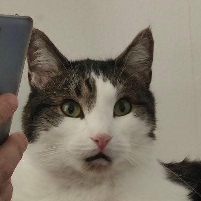 rjonsson0's profile picture. Bajen, vad annars?