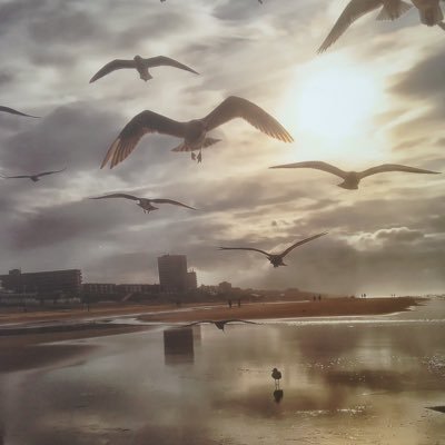 suzieensylvie's profile picture. No nonsens