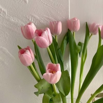 yaaaaarrgs's profile picture. 