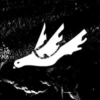 thursday lyric bot (@botallthetime) 's Twitter Profile