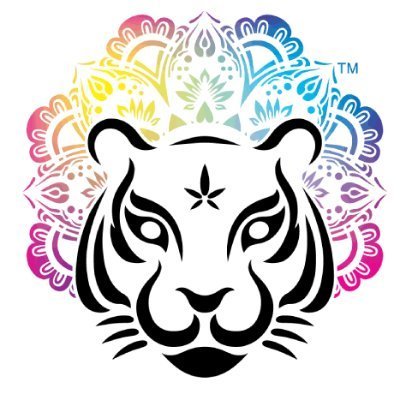 Jayden288's profile picture. Time for a NATIONAL DIVORCE. I'm sick of being married to these fucking gaslighting Nazis.  Let them have what they vote for and let me have what I vote for.