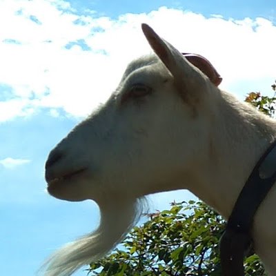 takitakifall's profile picture. 