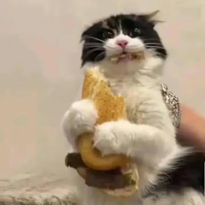 SaqerYara16700's profile picture. 