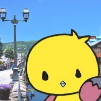 小樽アオバト情報局 (@otaru_aobato) 's Twitter Profile Photo