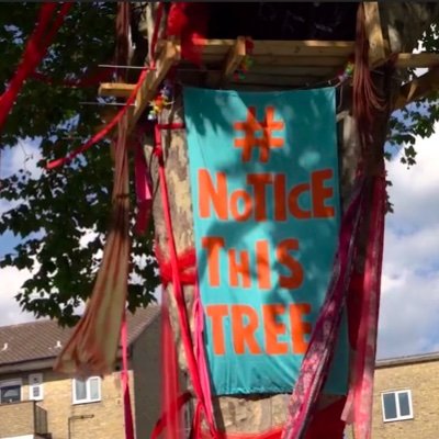 #noticethistree is a series of interventions