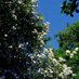 You can also follow me on Threadsjohn195587 . (@friend19551) Twitter profile photo You can also follow me on Threadsjohn195587 . (@friend19551) Twitter profile photo