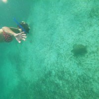 🟣Helena X (@helenfd) 's Twitter Profile