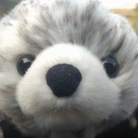⚜️Sugar⚜️(レマニスだいすきクラブ💙🙉) (@a_cup_of_teas2) 's Twitter Profile