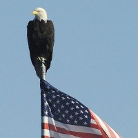 makela gregory (@petersteph24344) 's Twitter Profile